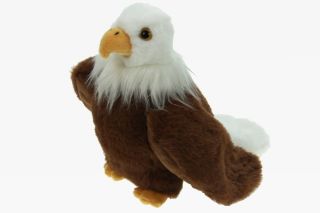 Obrázek z Orel bělohlavý plyš 19cm (6) 